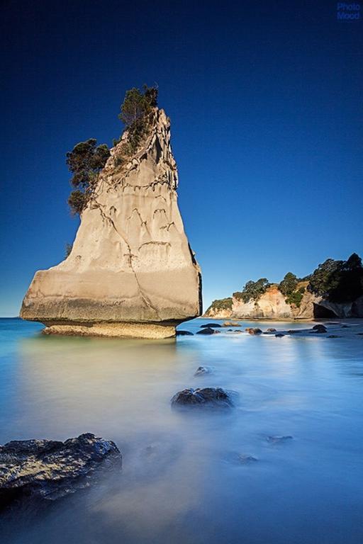 Cathedral Cove Apartment Hahei Dış mekan fotoğraf