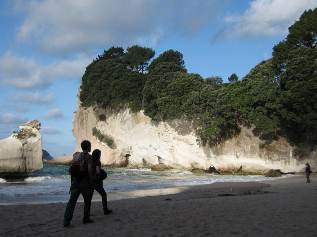 Cathedral Cove Apartment Hahei Oda fotoğraf